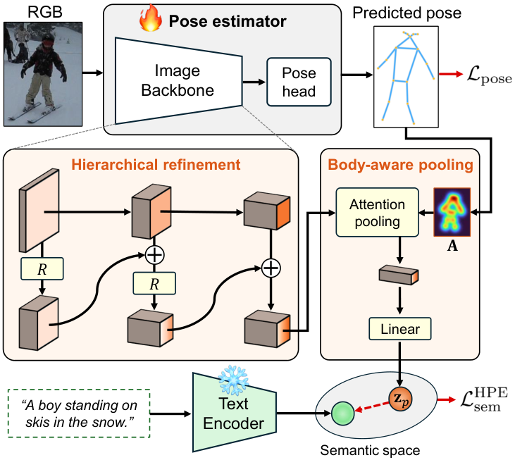 Multi-level pose estimator features undergo hierarchical refinement and body-aware pooling, then align with caption features from a frozen text encoder.