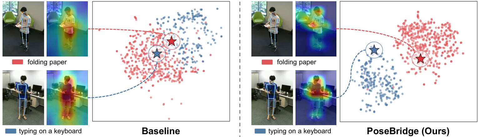 Baseline Grad-CAM attends broadly to the body and the two action classes overlap in t-SNE. PoseBridge attends around the hands, paper, and keyboard and shows clearer class separation.
